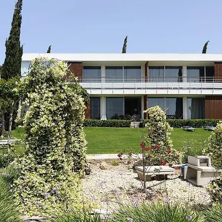 Art By Praxis Governor's Beach